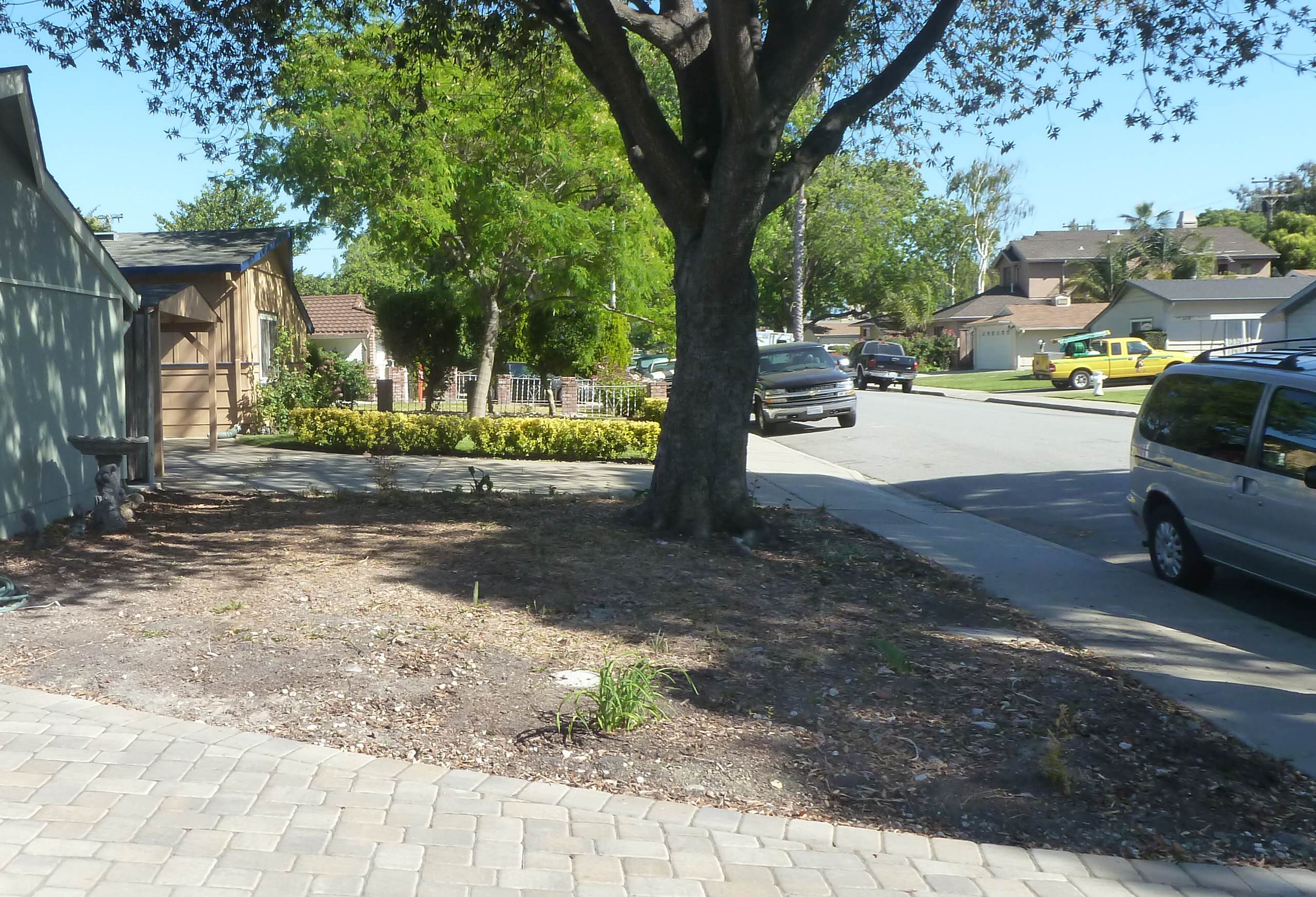 before-and-after-jpm-landscape-img~1211b06100fce753_14-7911-1-facb9e3