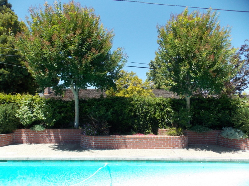 before-and-after-jpm-landscape-img~9fa1db0600fc435a_9-7942-1-cb9ee92