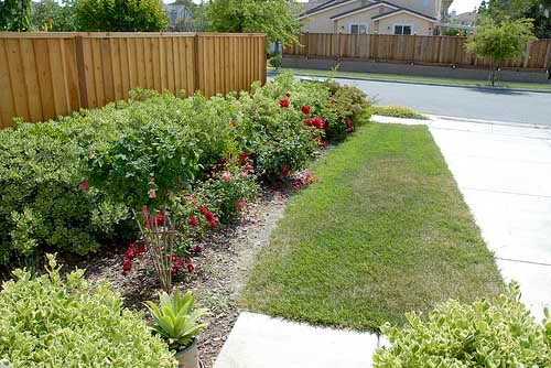 before-and-after-jpm-landscape-img~aec141cf00fc3f2e_9-7941-1-6eead14