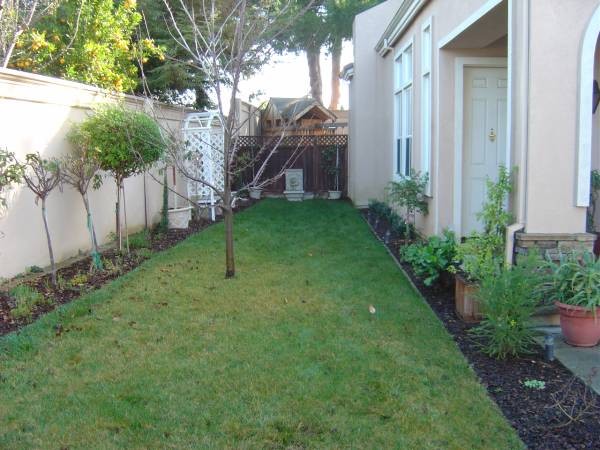 before-and-after-jpm-landscape-img~c9e1207700fc468a_9-7943-1-d006051