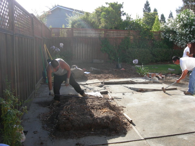 before-and-after-jpm-landscape-img~f171779a00fc3ef8_9-7941-1-1bbcf90