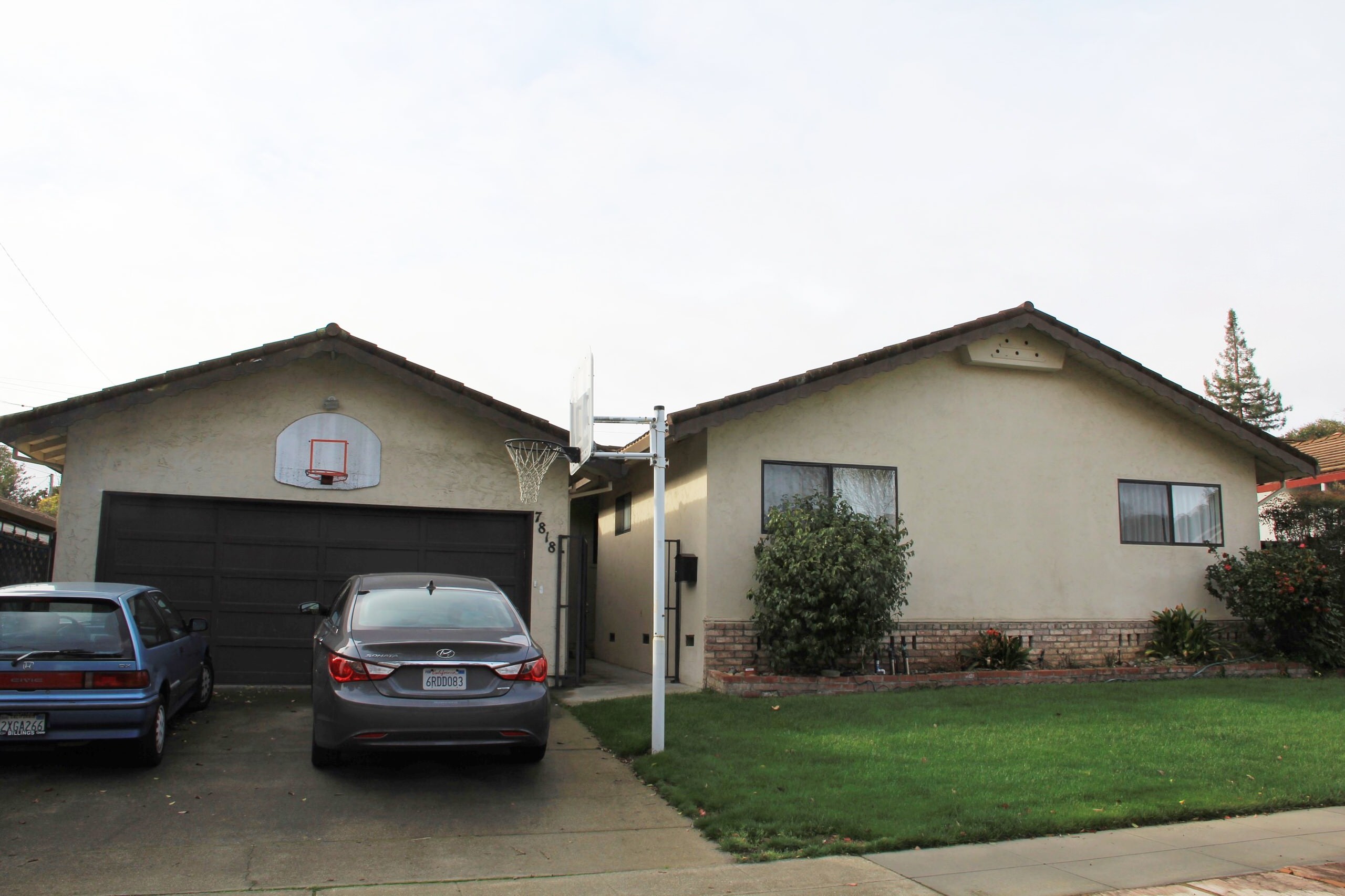 Landscape Design in Bay Area