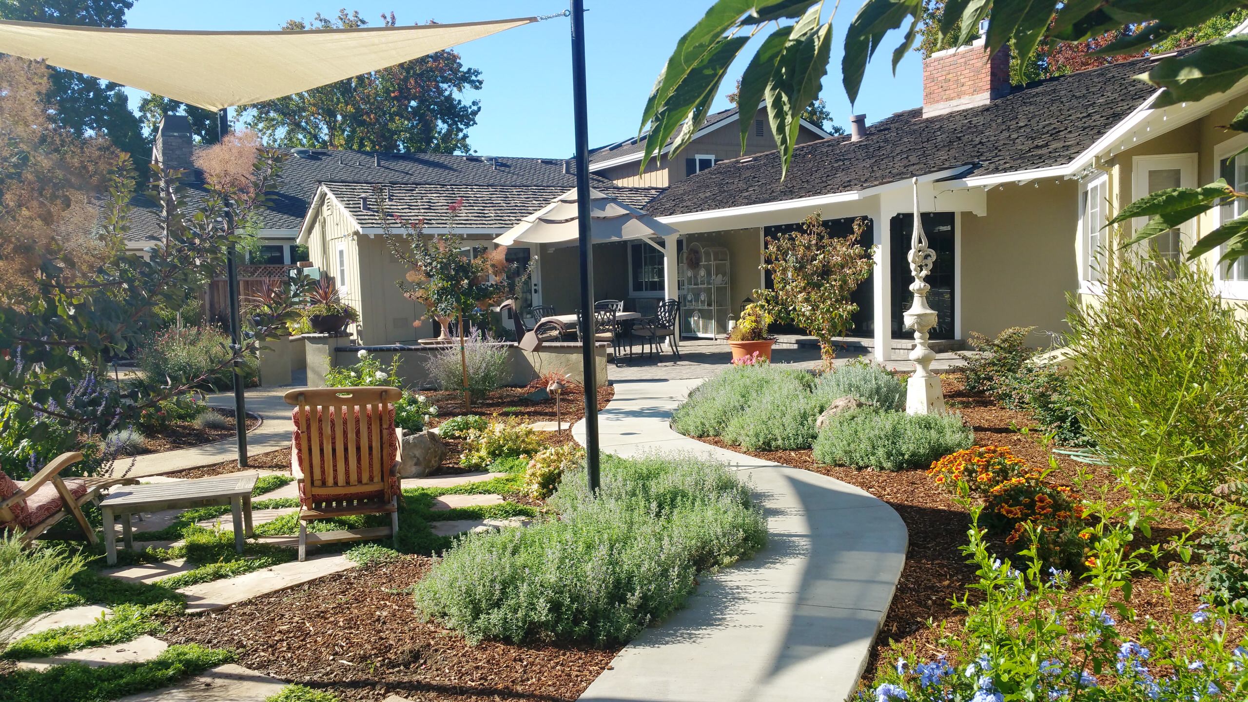 Landscape Designers in Cambrian Park