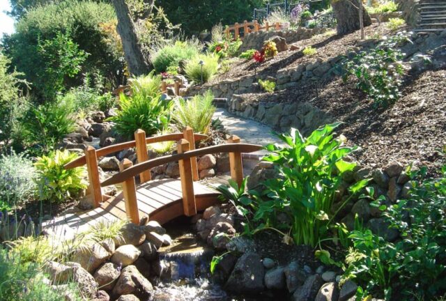 backyard-spaces-jpm-landscape-img~a2117da90177786b_14-5063-1-543ff20