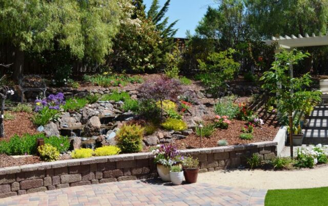 backyard-spaces-jpm-landscape-img~e741145c06d34cac_14-1014-1-34238eb