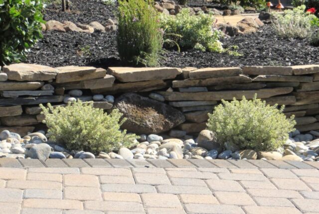 front-yard-landscape-jpm-landscape-img~e1a1af580125d36f_14-3588-1-785381f