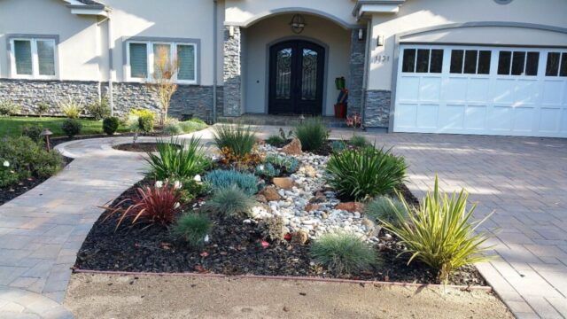 front-yard-landscapes-jpm-landscape-img~1c7127670498f855_14-0239-1-dfc59a2