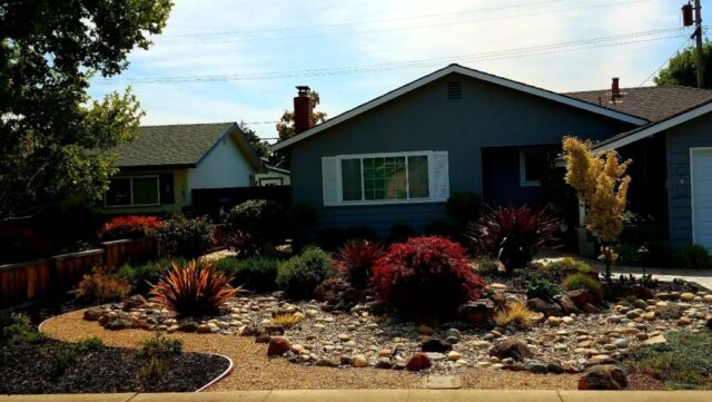 front-yard-landscapes-jpm-landscape-img~2a019a2c0b99dce5_14-3359-1-c851258