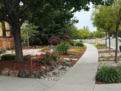 front-yard-landscapes-jpm-landscape-img~2b116e4b091e754d_9-2504-1-b210571