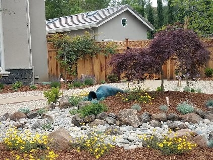 front-yard-landscapes-jpm-landscape-img~37717902091e754a_9-2504-1-ae2f9b0