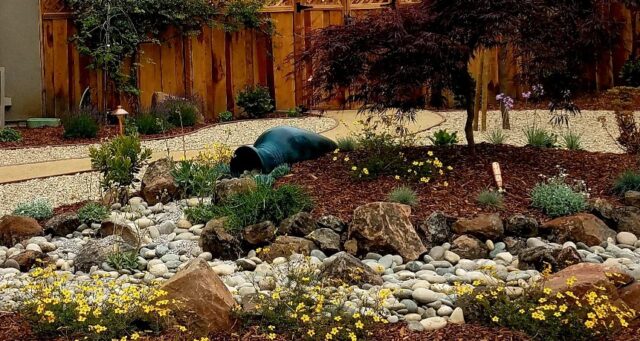 front-yard-landscapes-jpm-landscape-img~6a3136cb0b99dcf1_14-6856-1-2385fec