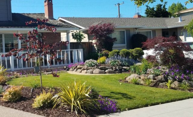 front-yard-landscapes-jpm-landscape-img~8cf1c04009bdfdde_14-6259-1-6dc82e1