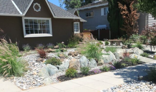 front-yard-landscapes-jpm-landscape-img~8e61e60003bf8cc0_14-1029-1-0051792