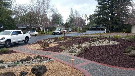 front-yard-landscapes-jpm-landscape-img~a6910d1808dc77ff_16-0123-1-395ec05