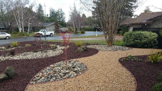 front-yard-landscapes-jpm-landscape-img~aad14e5e08dc77fb_16-8706-1-9d6f4df