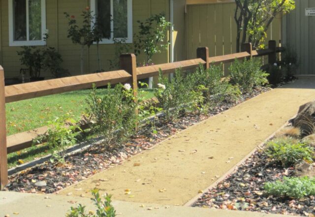 front-yard-landscapes-jpm-landscape-img~b65197ff0237fd58_14-6109-1-1ce8dd0