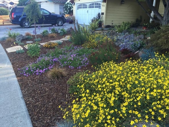 front-yard-landscapes-jpm-landscape-img~df61b4d908579f69_16-1832-1-b14b283