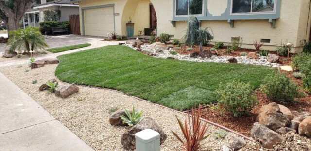 front-yard-landscapes-jpm-landscape-img~e711a8470c9ceee4_14-8898-1-778b4d3