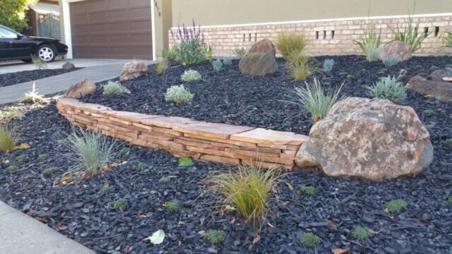 front-yard-landscapes-jpm-landscape-img~eb912df207170977_14-6071-1-02cd072