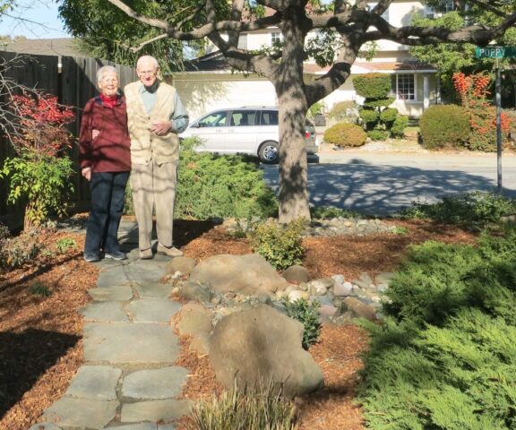 front-yard-landscapes-jpm-landscape-img~f2715bbe02ba9b6b_14-0907-1-01f8269