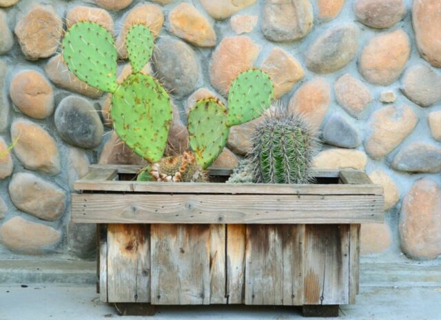 garden-accents-jpm-landscape-img~0021c47c01358ef4_14-1820-1-dcae974