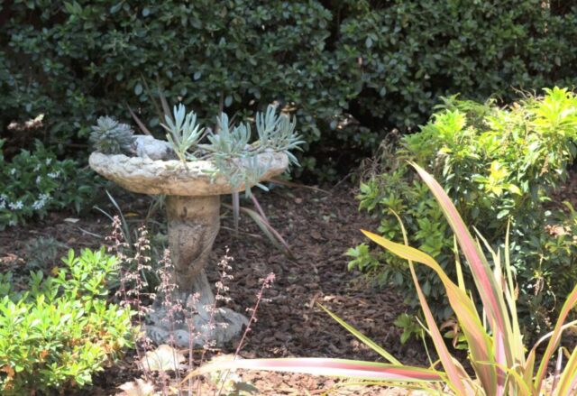 garden-accents-jpm-landscape-img~0cb1f0c501b02bfd_14-9952-1-5efce1e