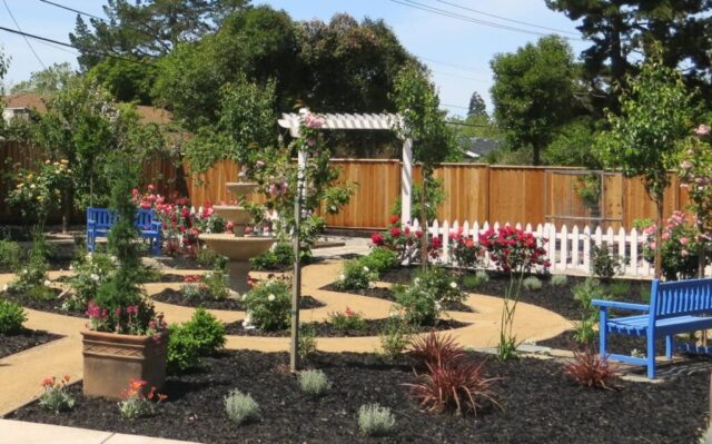 garden-accents-jpm-landscape-img~15e1dd3c0351a552_14-7120-1-86b30fc