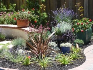 garden-accents-jpm-landscape-img~1bc17dc200fc499a_9-7943-1-878f2dc