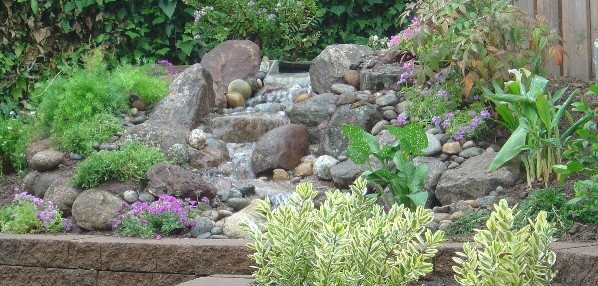 garden-accents-jpm-landscape-img~3ca1e18d01248889_16-3827-1-015366a