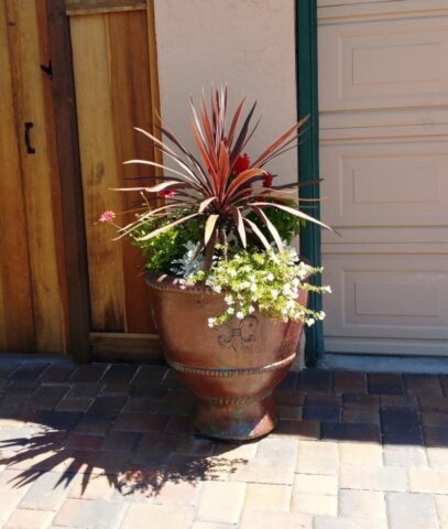 garden-accents-jpm-landscape-img~8481cb84052f3025_14-5850-1-92a156d