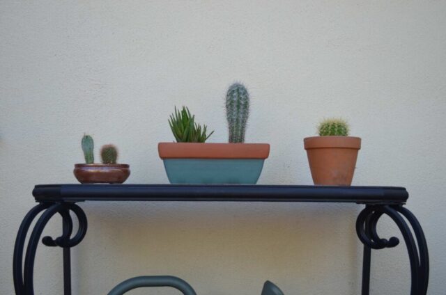 garden-accents-jpm-landscape-img~c3b16a3f014165aa_14-0643-1-e2840d7