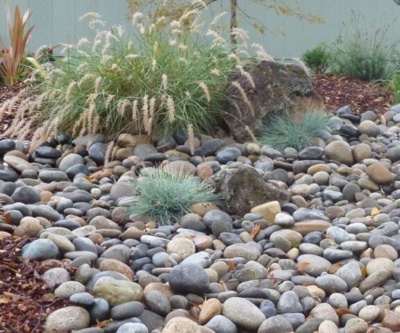 garden-accents-jpm-landscape-img~c73160300217060c_14-9429-1-81ec7fb