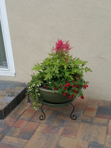 garden-accents-jpm-landscape-img~f251578e053b2fe1_14-2368-1-2e4a9aa