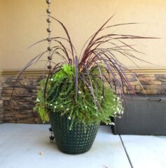 garden-accents-jpm-landscape-img~fe816299024e52da_14-3892-1-cc201a9