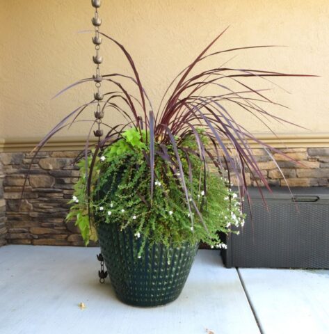 garden-accents-jpm-landscape-img~fe816299024e52da_14-3892-1-cc201a9