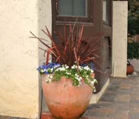 home-design (1)