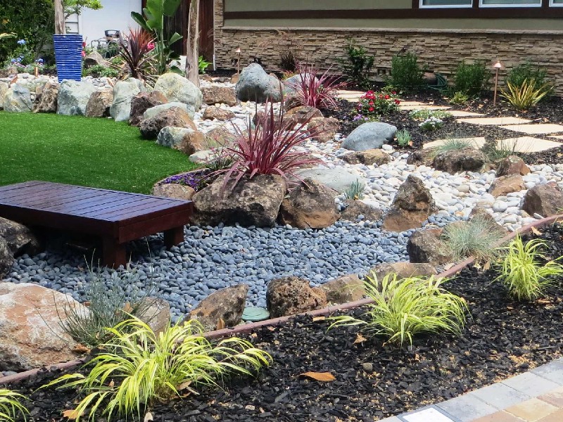Drought-tolerant landscaping transformation San Jose showing water-efficient plants, gravel pathways, and native California vegetation replacing traditional lawn