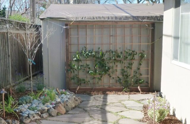 t-arbors-and-trellis-jpm-landscape-img~4d81d66d013ed946_14-0921-1-8d50dce