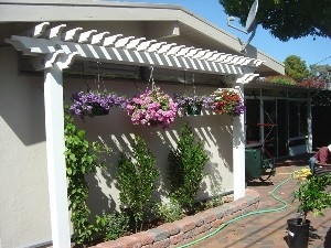 t-arbors-and-trellis-jpm-landscape-img~fab1f4930258f6fb_9-2772-1-1ed7971