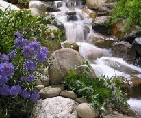 waterfalls-by-jpm-jpm-landscape-img~b4b1bf0c00fbb6b0_9-7950-1-6342a5e